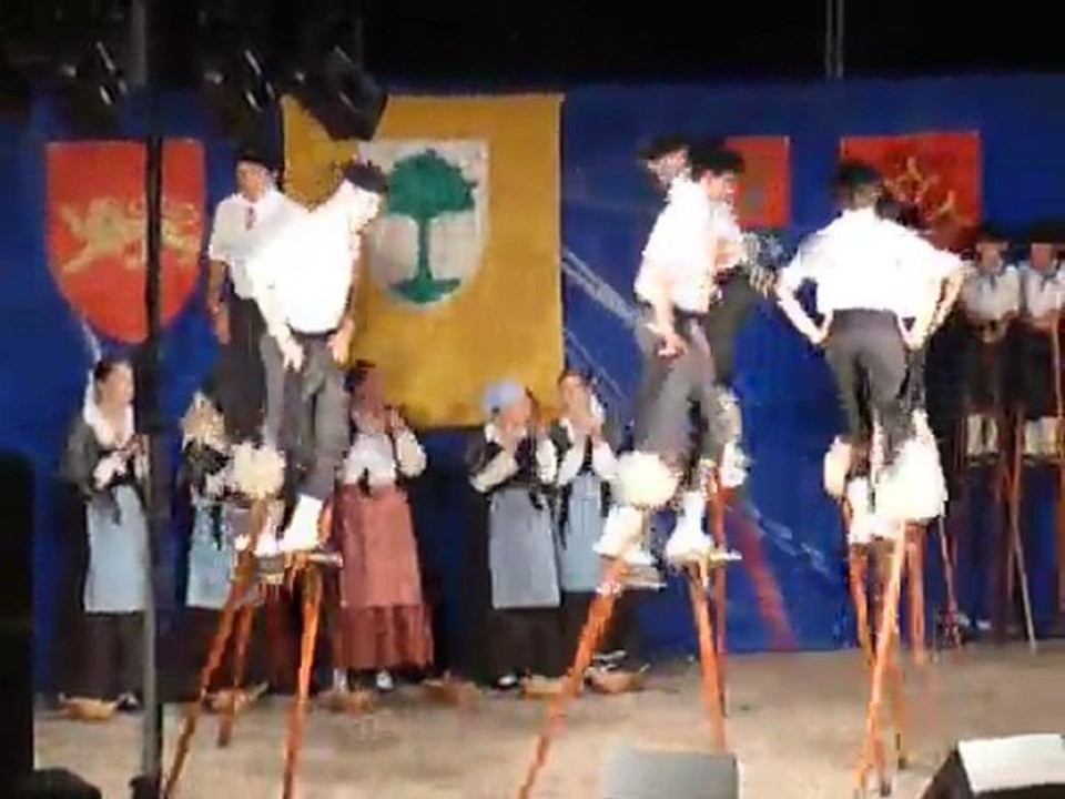 P1440851 les échassiers landais de POUILLON