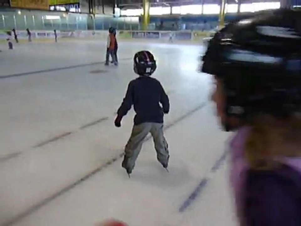 Le petit lion des glaces 1