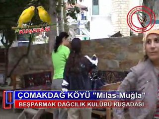 ÇOMAKDAĞ -FAALİYETİ  2011