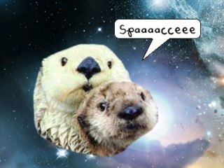 Magical Starsign 5/ Les loutres pirate de l'espace