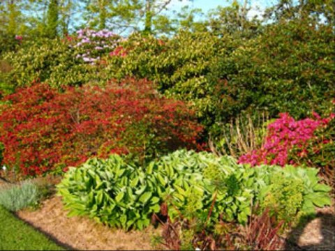 Nono Futur - Va te faire enculer