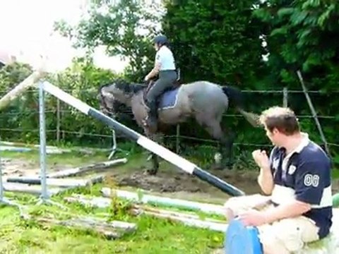 danti galop, trot et barre au sol sylvie