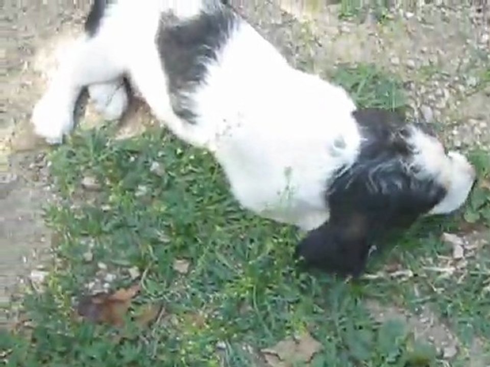 videoglenn22aout