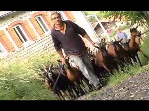 MARIE & ALAIN QUAGLINO-BLANCHARD-Elevage et fromage caprin