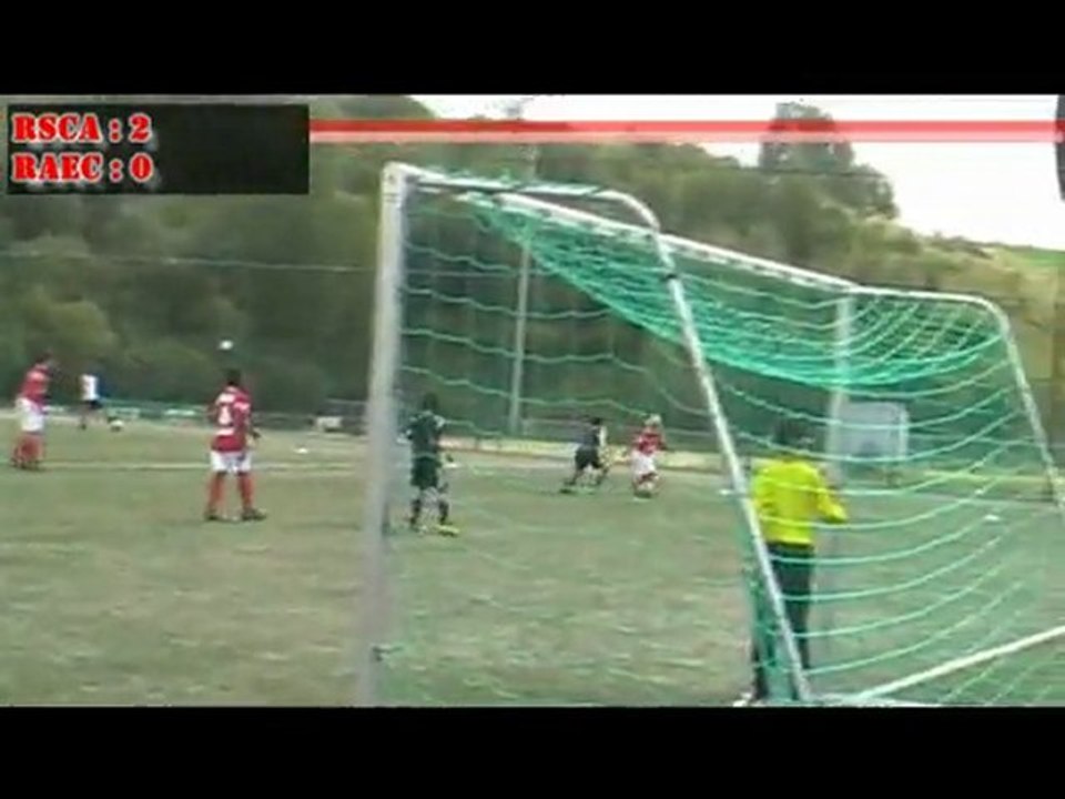 (21/08/11)RSCA-RAEC