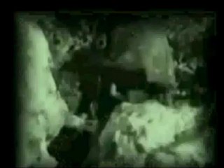 Mahmud Efendi Hazretleri ve Kıbrıs Harekatı