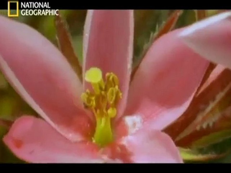 AFS (Les secrets de la Lune)