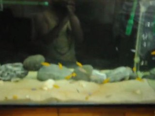 300 lt Malawi Tank