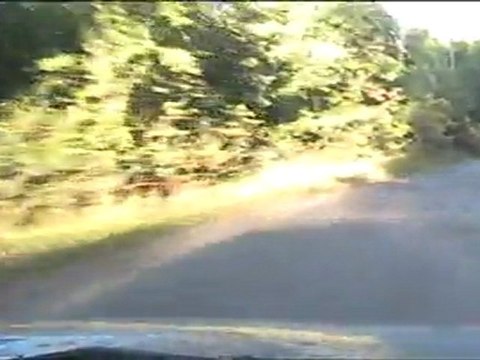 Rallye du Gap Racing 2011 Es3: Neffes-Tallard