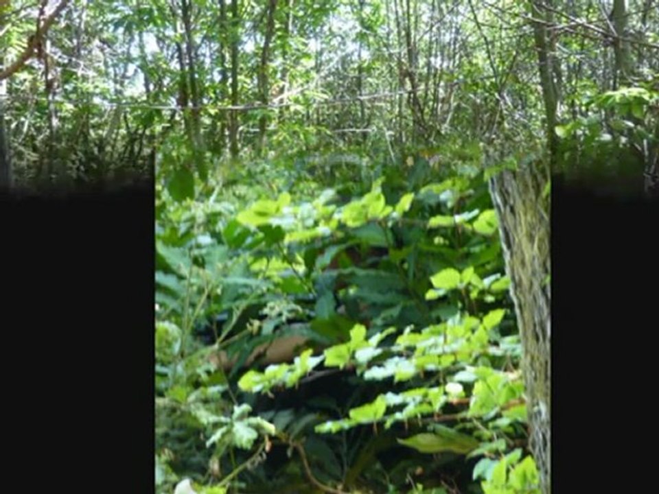 Airsoft - Mission Colombie - 22 Août