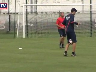 Pastore à l'entraînement