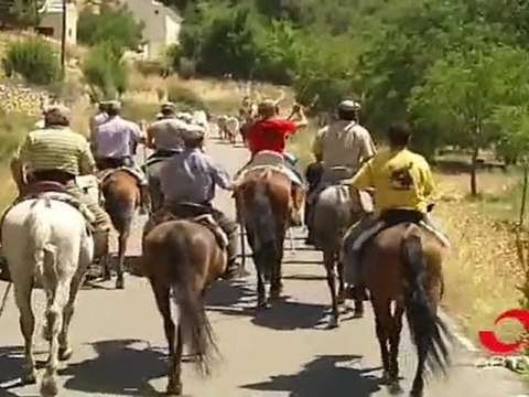La suelta de reses bravas supone el pistoletazo de salida de las fiestas de Nerpio
