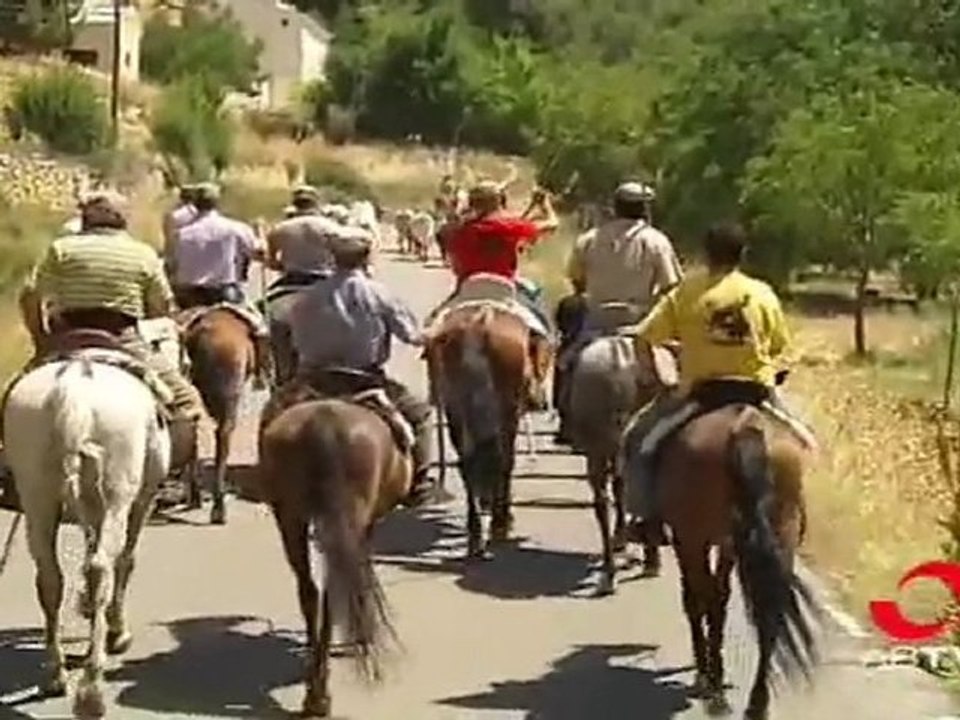 La suelta de reses bravas supone el pistoletazo de salida de las fiestas de Nerpio