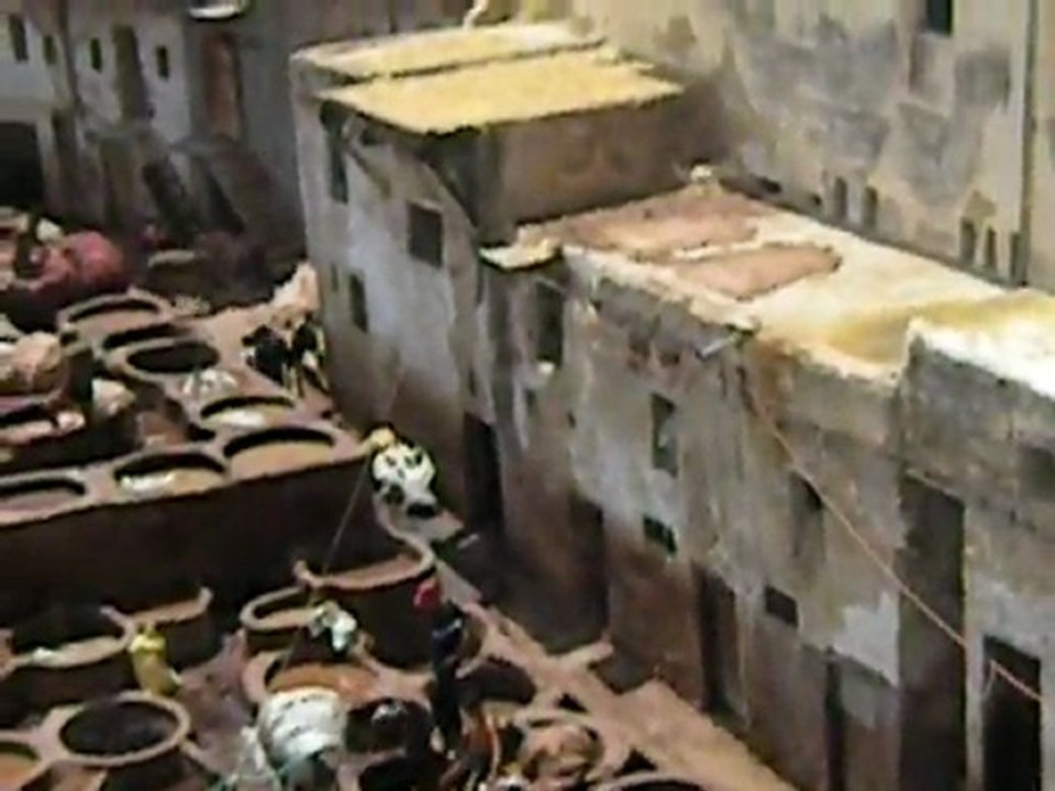 Tannerie de cuir à Fès - Maroc - mardi 16.08.2011