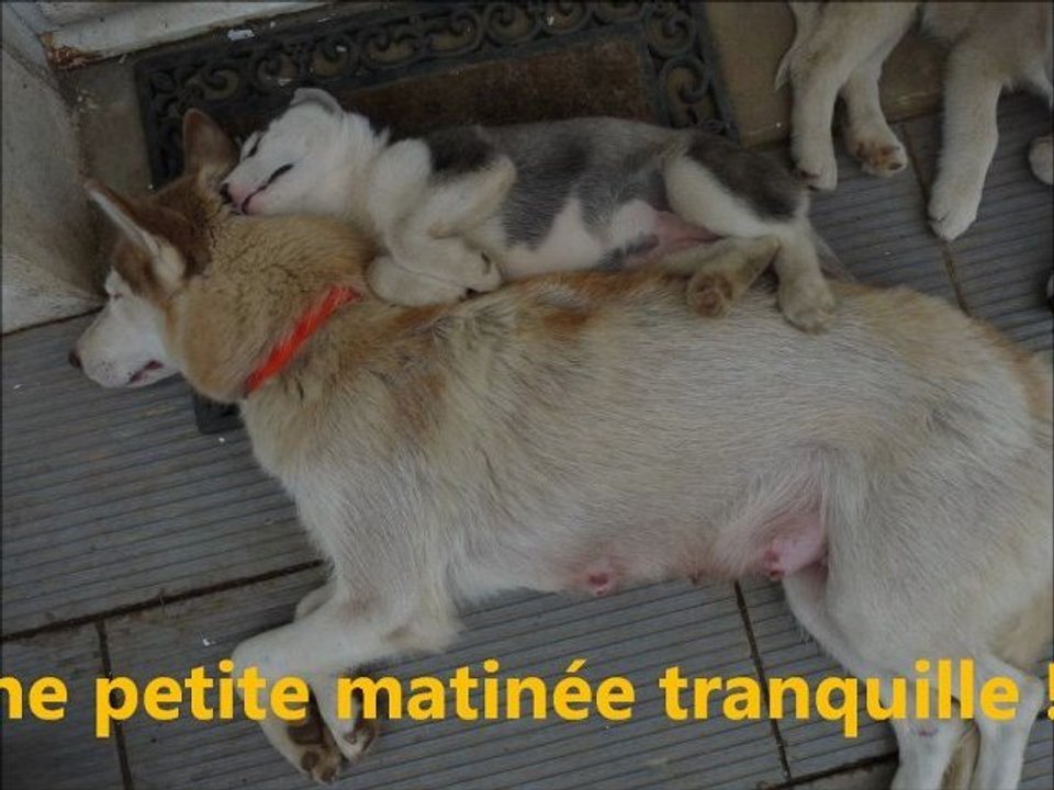 programme d'une journée