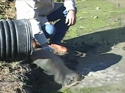 New Sediment Removal Saves Water when Dredging a Pond, Lake or Marina.