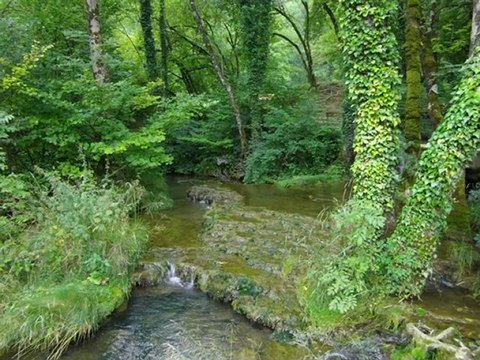 le jura, des lacs des cascades des sources 2eme partie