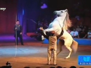 William Levy en Circo Hermanos Vasquez en Chicago || DA