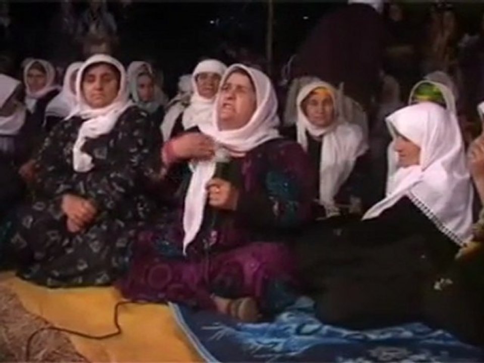 Canlı kalkanlar gece
