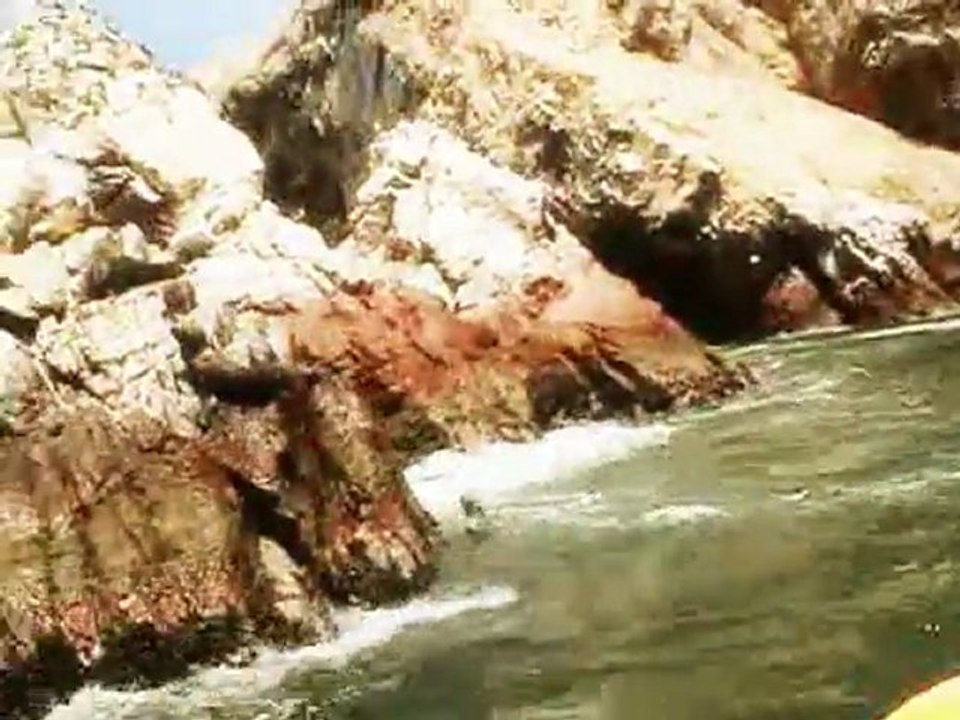 Islas Ballestas, Peru