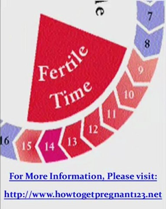 Pregnancy Wheel - When Is The Best Time To Get Pregnant Video