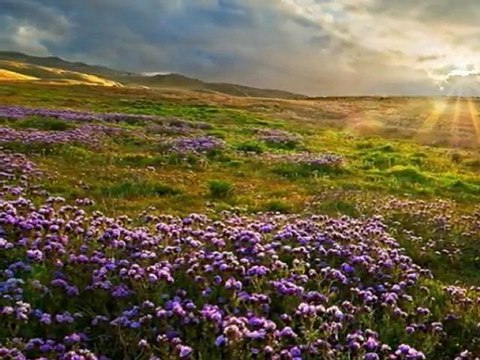 KIVIRCIK ALİ-OY GÜLÜM