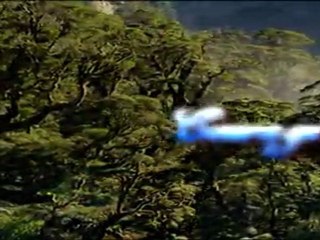 Elixirs Colibri - Fleurs de Bach GRATUIT