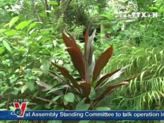 BẢN TIN TIẾNG ANH TRUYỀN HÌNH THÔNG TẤN  21.8.2011