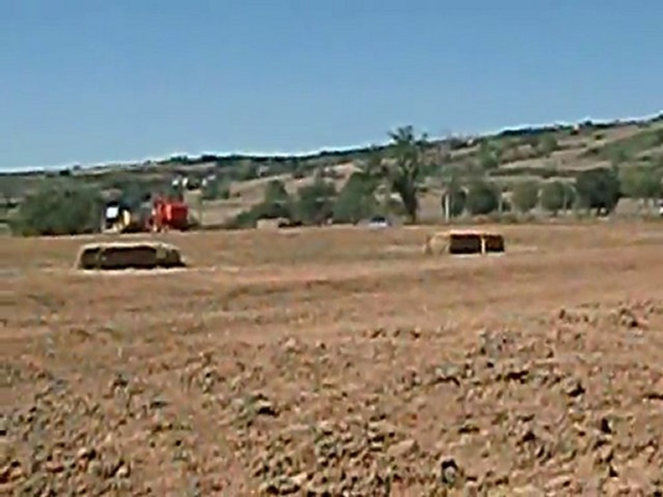 Course de Moiss'bat cross