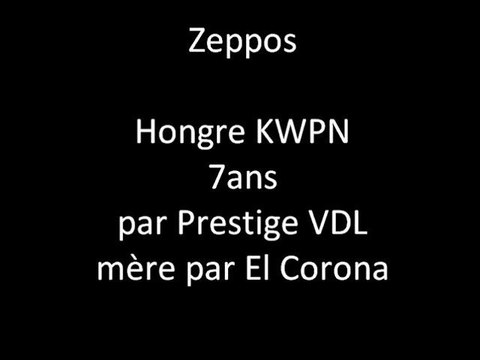 Prépa 120 Bages 2011