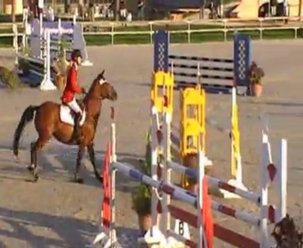 Salsa Rocq - Sologn'Pony 2011 - finale SHF 5 ans D - A VENDRE