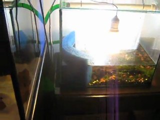 algea turf scrubber (santa monica filter) DIY