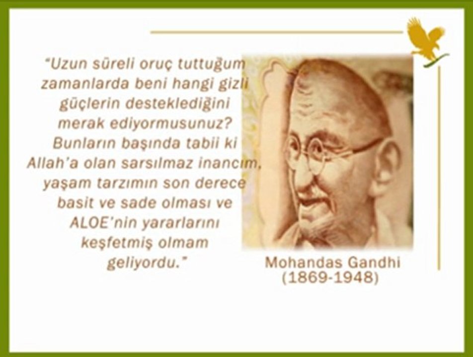 Aloe vera nedir?
