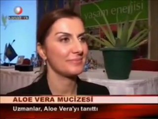 kanaltürk Aloe Vera'nın Yararları Haberlerde Yayınlanıyor!