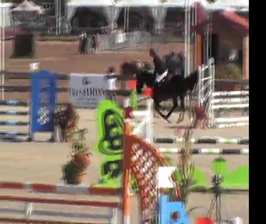 Shutterfly de Beausse Sologn Pony 2011 Champion des 5 ans D