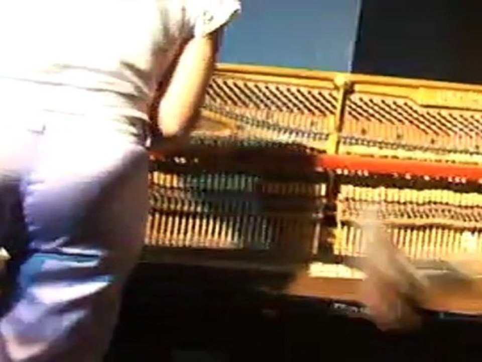 Stadtfischflex epk2011