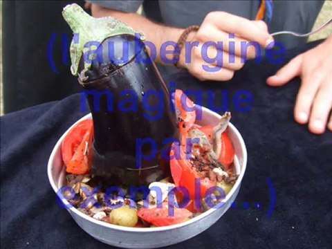 camp scout juillet 2007 Saint Lyphard (Loire Atlantique)