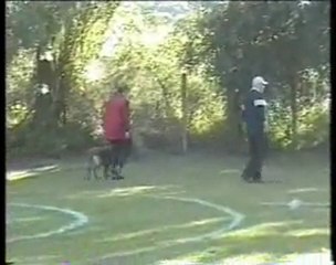 Eaunyx de Kerprigent Brevet Ring