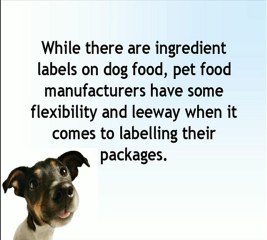 recipes for dog food