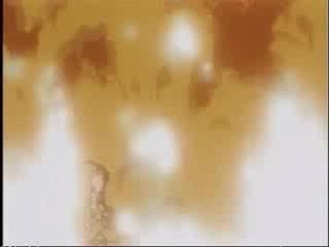 dbz-gohan trunks vs C-17 C-18