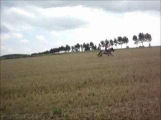 Galop dans les champs