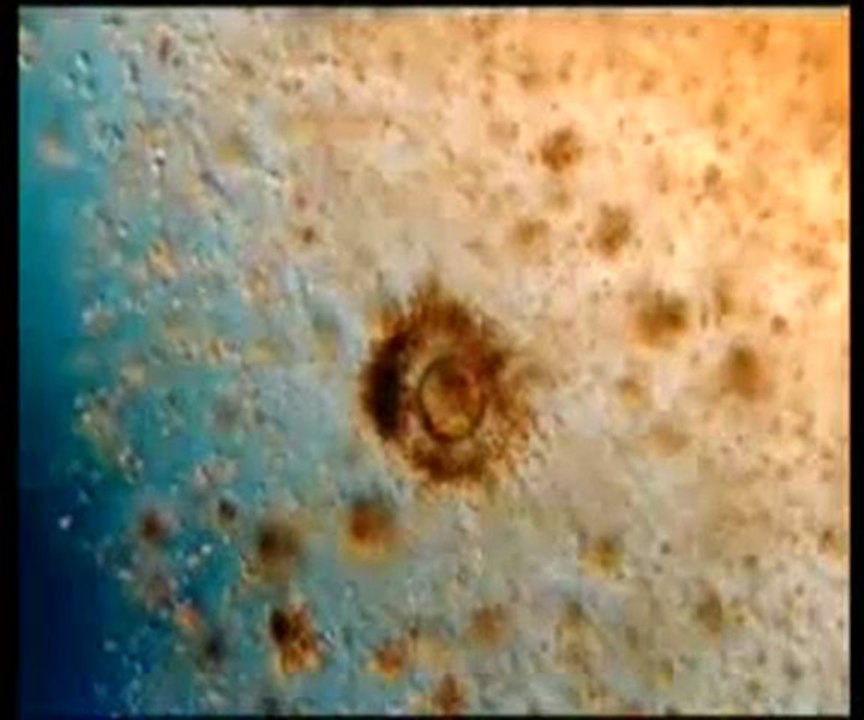 Kuran ayetleri reenkarnasyonu yalanlıyor