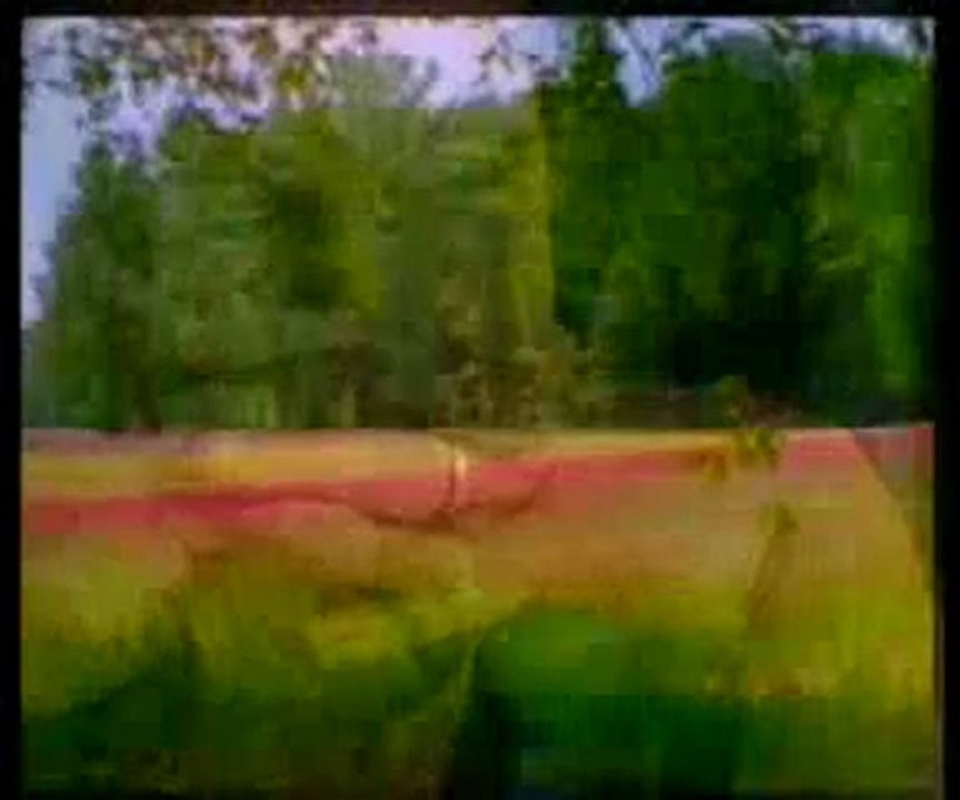 Mutluluğun ve huzurun yolu