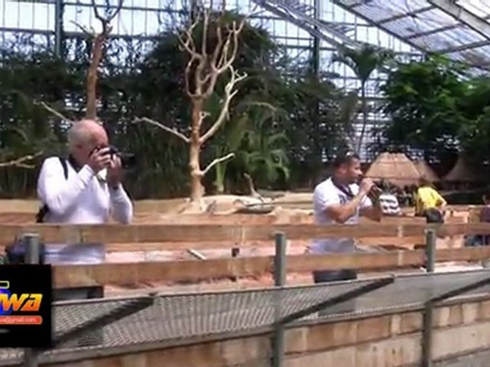 LA FERME AUX CROCODILES