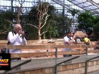 LA FERME AUX CROCODILES