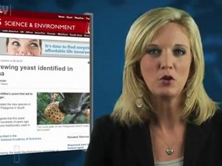 Scientists Pinpoint Origin of Lager Yeast