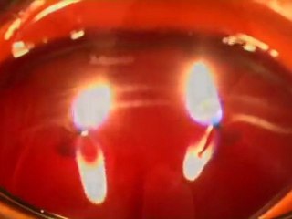 Primal Mist - Promo Video