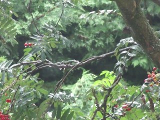 Rainy Mello: Toy Play & Testing 🎲