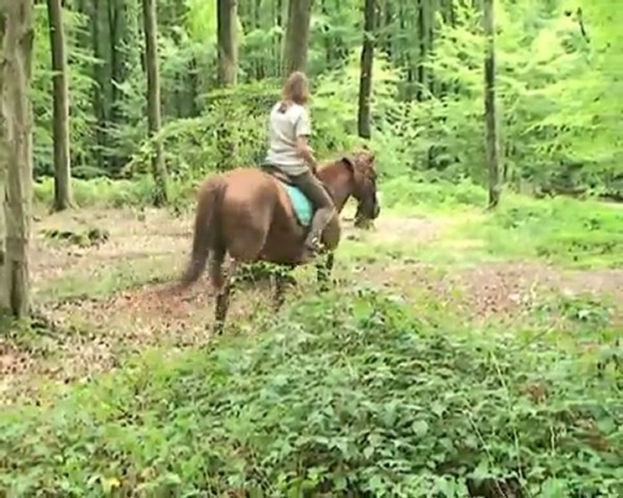 SALSA_VAUVERT