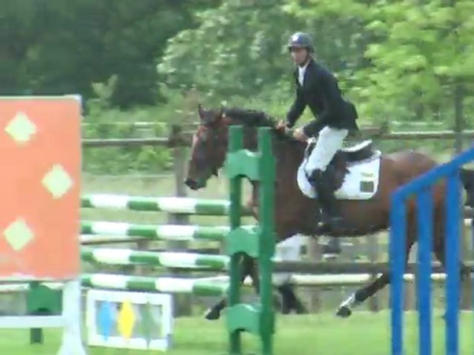 Tsigane du Gers jument bai de 4 ans à Vendre CCE, CSO